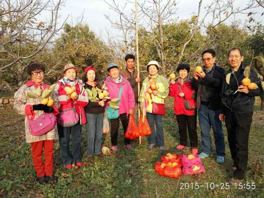 农家院主人带领游客到自己的果园免费采摘